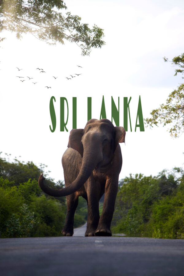 Sri Lanka eBook